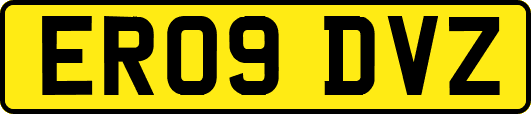 ER09DVZ