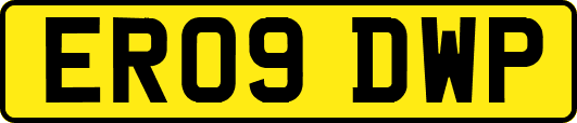 ER09DWP