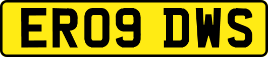 ER09DWS