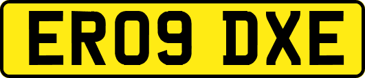 ER09DXE