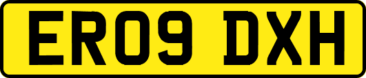 ER09DXH