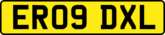 ER09DXL