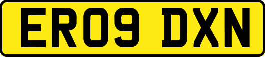 ER09DXN