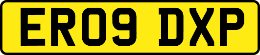 ER09DXP