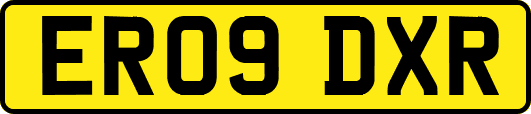 ER09DXR
