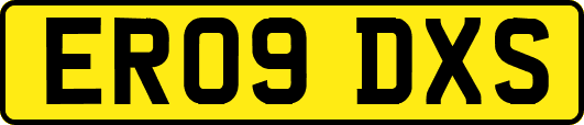 ER09DXS