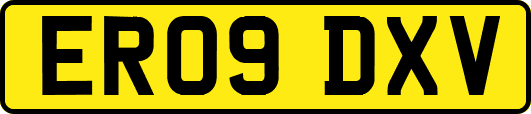 ER09DXV