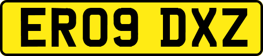 ER09DXZ