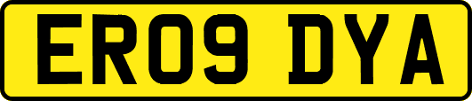 ER09DYA