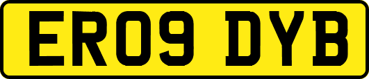 ER09DYB
