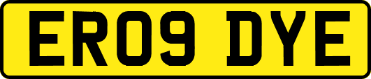 ER09DYE