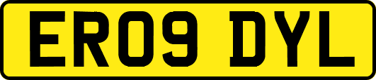 ER09DYL