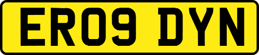ER09DYN