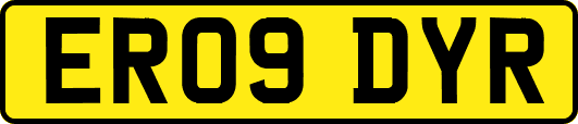 ER09DYR