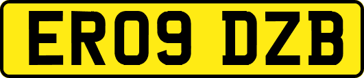 ER09DZB