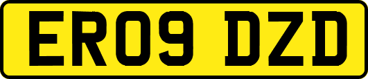 ER09DZD
