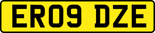 ER09DZE