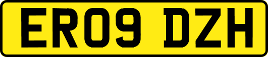 ER09DZH