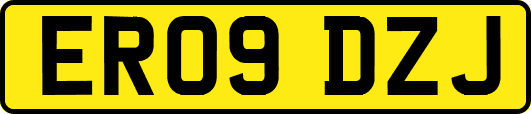 ER09DZJ