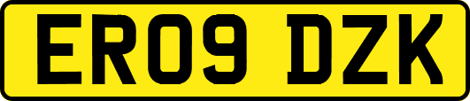 ER09DZK