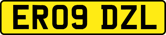 ER09DZL