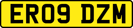 ER09DZM