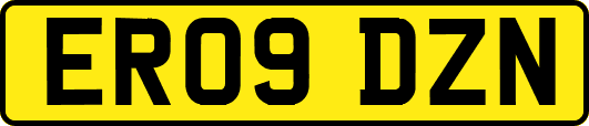 ER09DZN