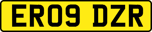 ER09DZR