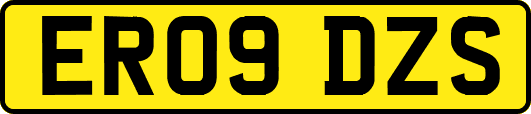 ER09DZS