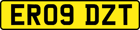 ER09DZT