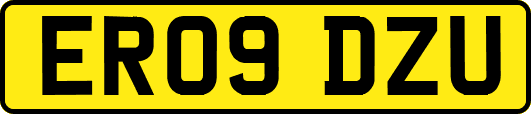 ER09DZU