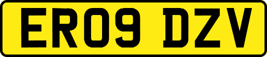 ER09DZV