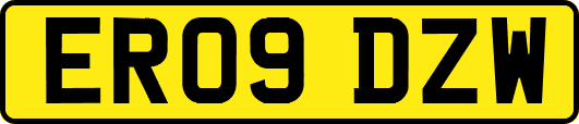 ER09DZW