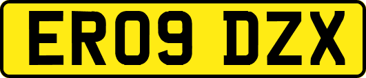 ER09DZX