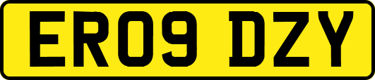 ER09DZY