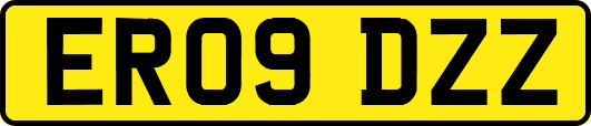 ER09DZZ