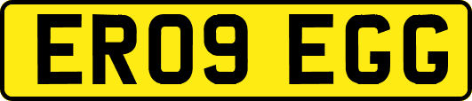 ER09EGG