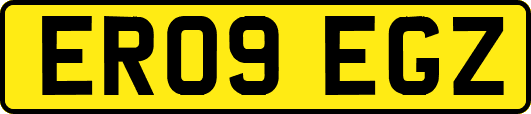 ER09EGZ