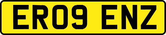 ER09ENZ