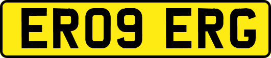 ER09ERG