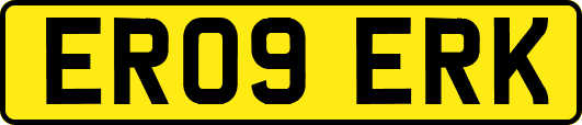 ER09ERK