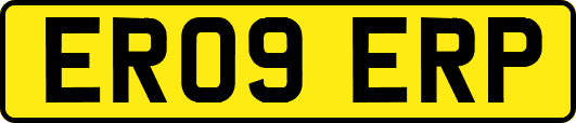 ER09ERP