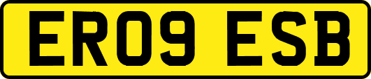 ER09ESB