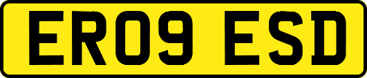 ER09ESD