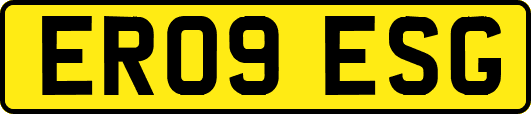 ER09ESG