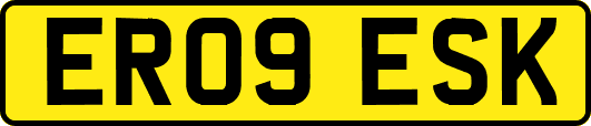 ER09ESK