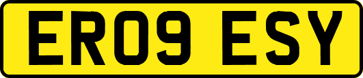 ER09ESY