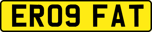 ER09FAT