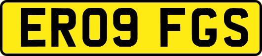 ER09FGS