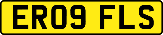 ER09FLS